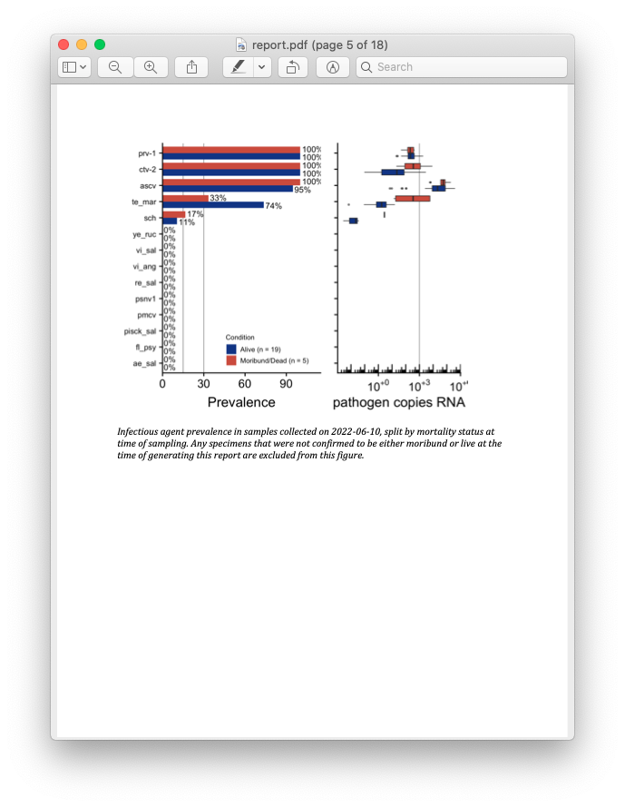 Screenshot of the report produced with the downloaded fish data.