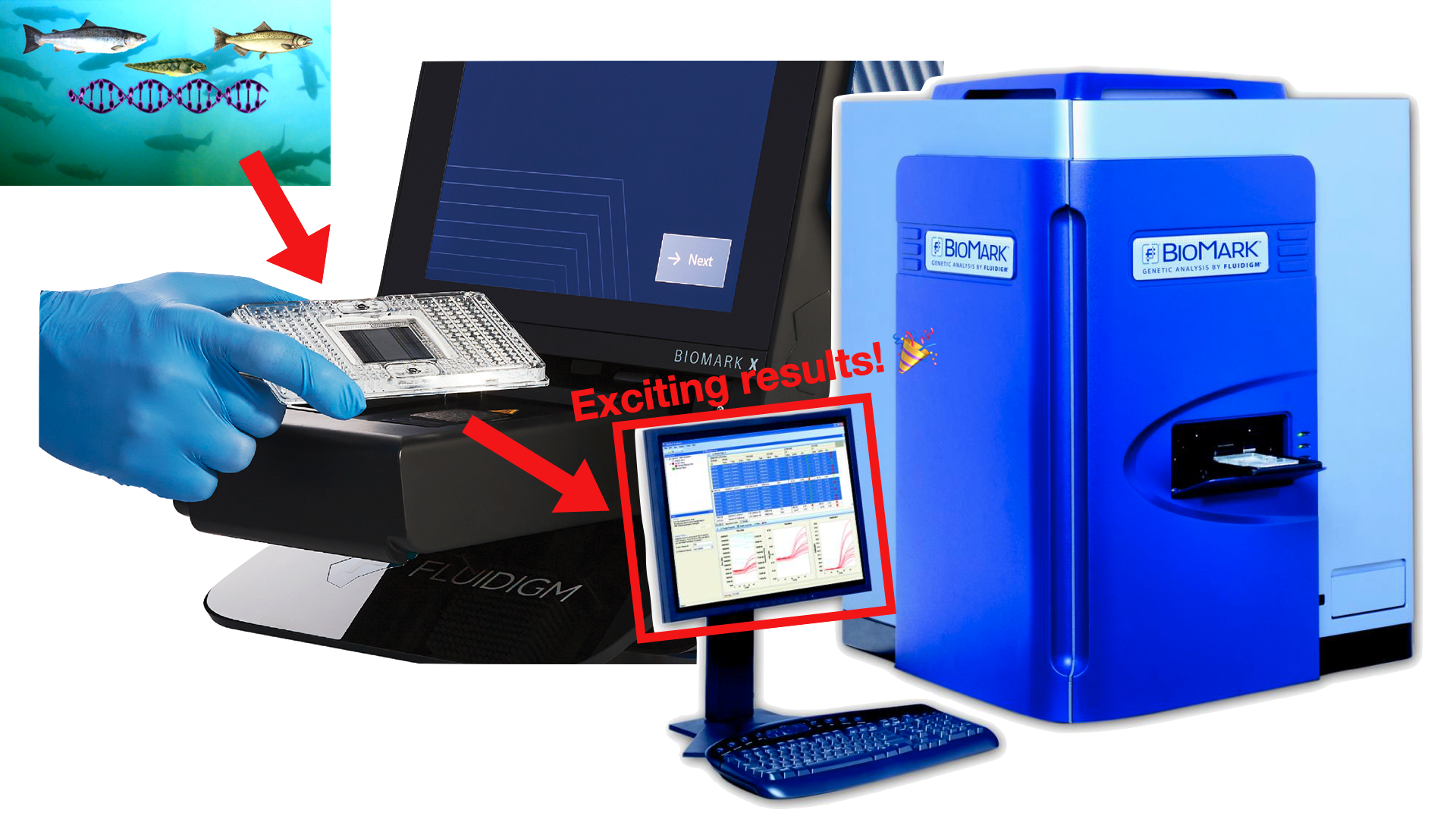 Photo illustration showing the process of collecting seawater to filling sample trays and analyzing them for the BioMark Fluidigm machine.